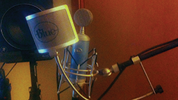 Blue Microphones - Bluebird Large Diaphragm Cardoid Condenser Microphone